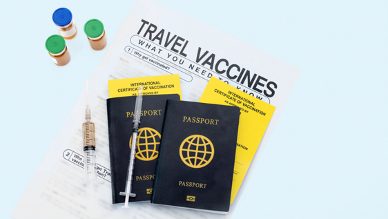 travel clinic, travel health advice, travel vaccines, vaccinations for travelling abroad, malaria prevention, travel clinic west midlands